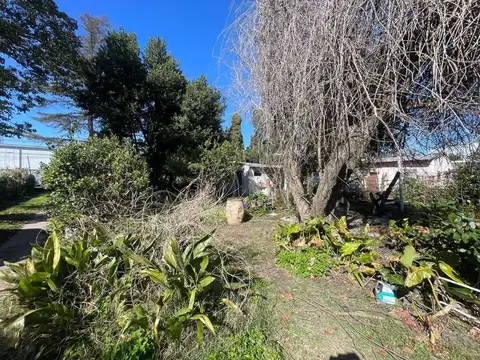 Terreno en Venta de 972,0 m2