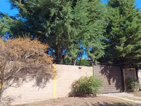 Teninete primero Bustos 200