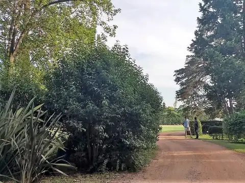 Villa Astolfi - Excelente Terreno con Dos Casas