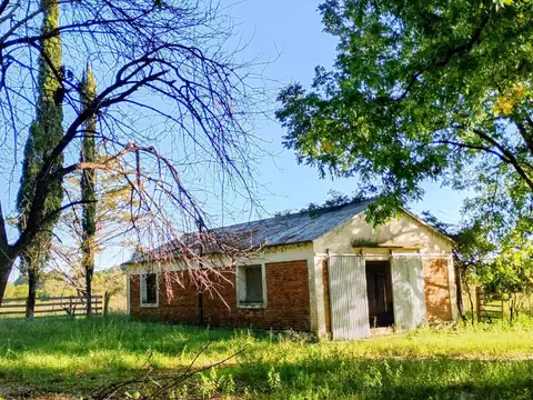 Campo en Venta Ganadero