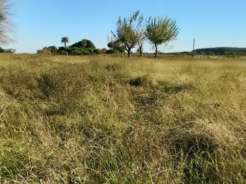 Campo en Venta de 24  ha