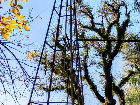 Campo 24 Ha. Ganadería y Forestación c/casa antigua
