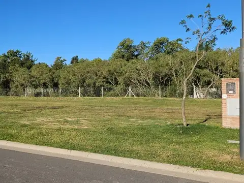 Avenida de los Lagos