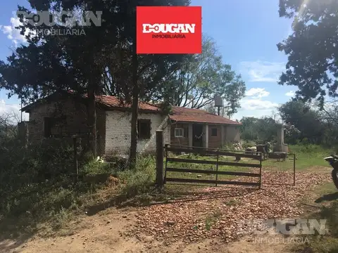 Campo - junin