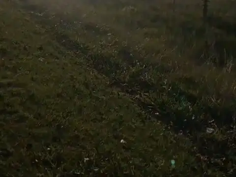 Calle Belgrano y Ruta Provincial 63, Dolores 2000