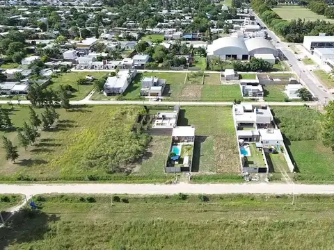 81 100