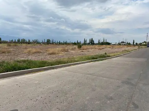 ALSINA 2500