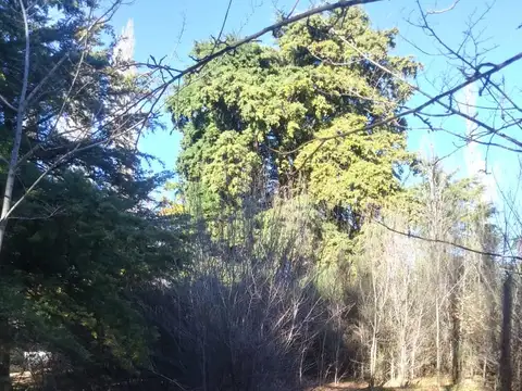 MD INMOBILIARIA VENDE!