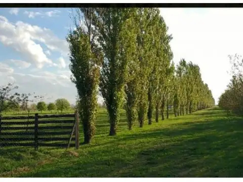 Terreno en Venta en Haras De Funes, USD 85.000