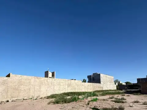 enersto guevara 100