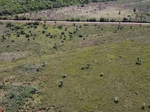 Ruta 216 Casi Ruta 12