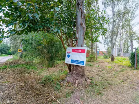 TERRENO EN VENTA EN ANDINO  BORDABEHERE Y CALLE 3