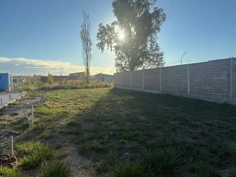 Terreno en Venta de 250,0 m2