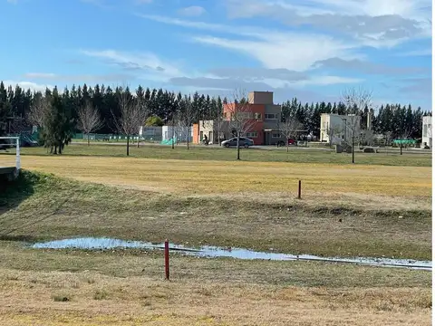 Terreno en Venta 20  mts Fondo