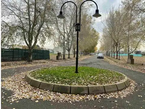 Terreno en Venta 50  mts Frente