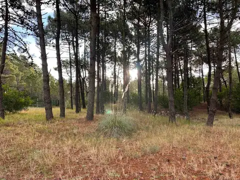 Terreno en Venta en Pinamar Norte, USD 93.000