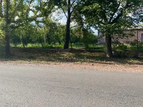 Mendoza