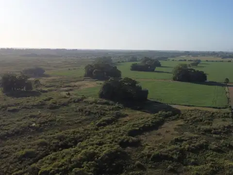 P397+59, Campana, Provincia de Buenos Aires