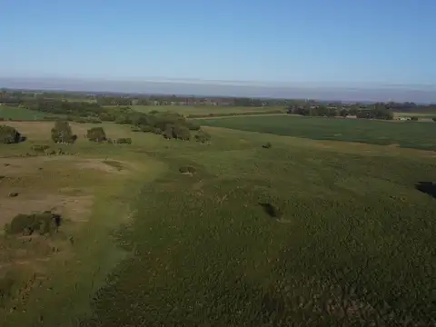 Terreno en Venta en Countries y Barrios Cerrados en Campana, USD 90.000
