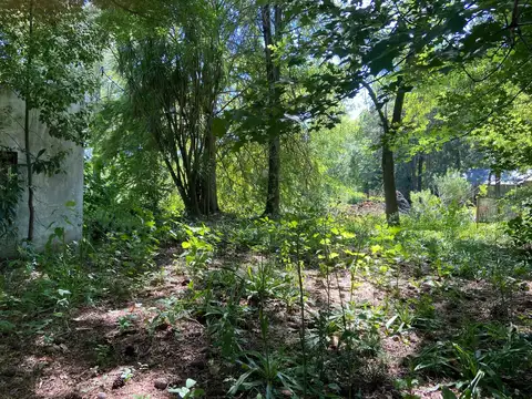 Terreno en Venta 50  mts Fondo