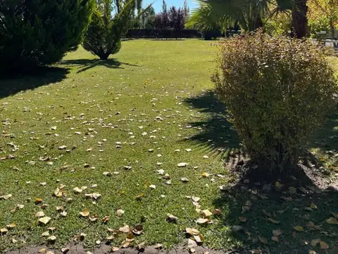 BERTANI SUR 1300, Piso 0