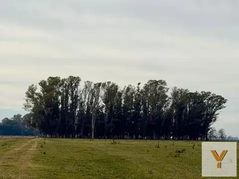 Camino Provincial 083 y Calle 26