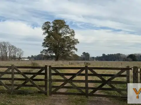 Campo en Venta -  - 460000mts - Pila