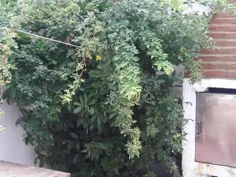 Departamento en Alquiler Temporal de 1 dormitorio