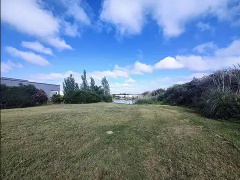 LIBERTAD 300