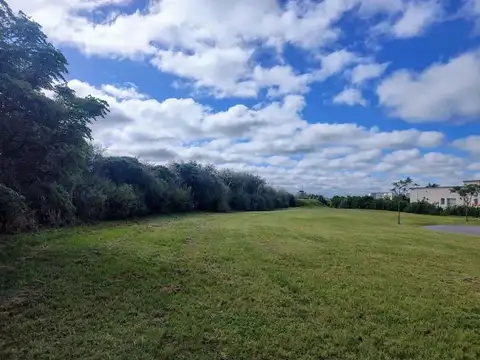 LIBERTAD 300