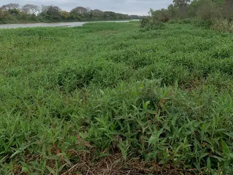 GRAN TERRENO SOBRE EL RIO EN RINCON