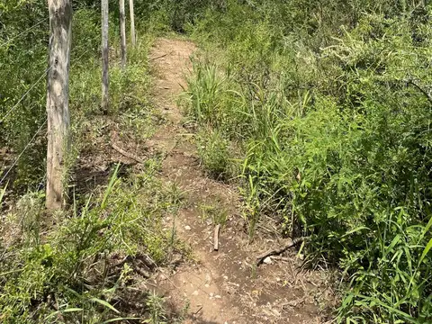 Terreno en Venta de 8009,0 m2