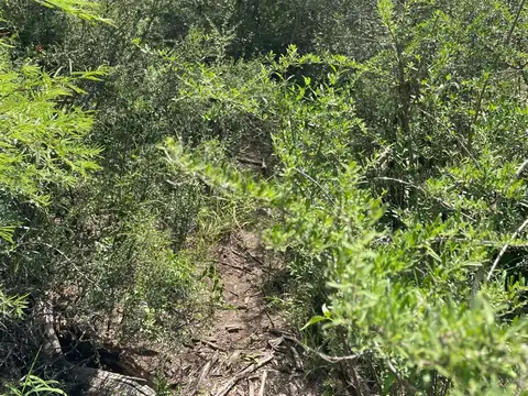 Terreno en Venta en Villa de las Rosas, USD 25.000