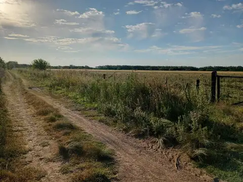 VENTA CAMPO AGRICOLA GANADERO 100 HA PUEBLO MUÑOZ SANTA FE