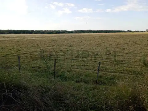 Ruta Provincial 100, Piso 0