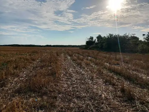 Campo en Venta de 0,01  ha