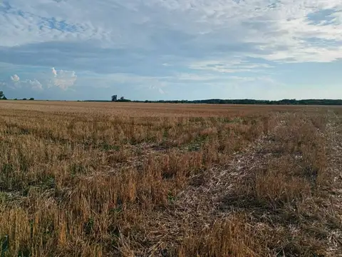 Ruta Provincial 100, Piso 0