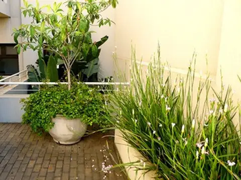 Casa en Venta en Palermo, USD 3.300.000