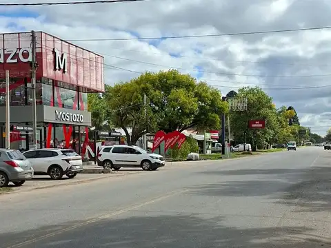 Local en Alquiler 10 años