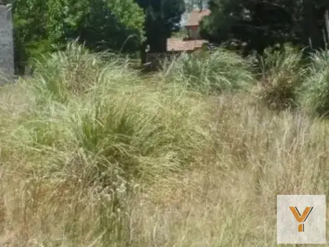 Terreno en Venta de 539,0 m2