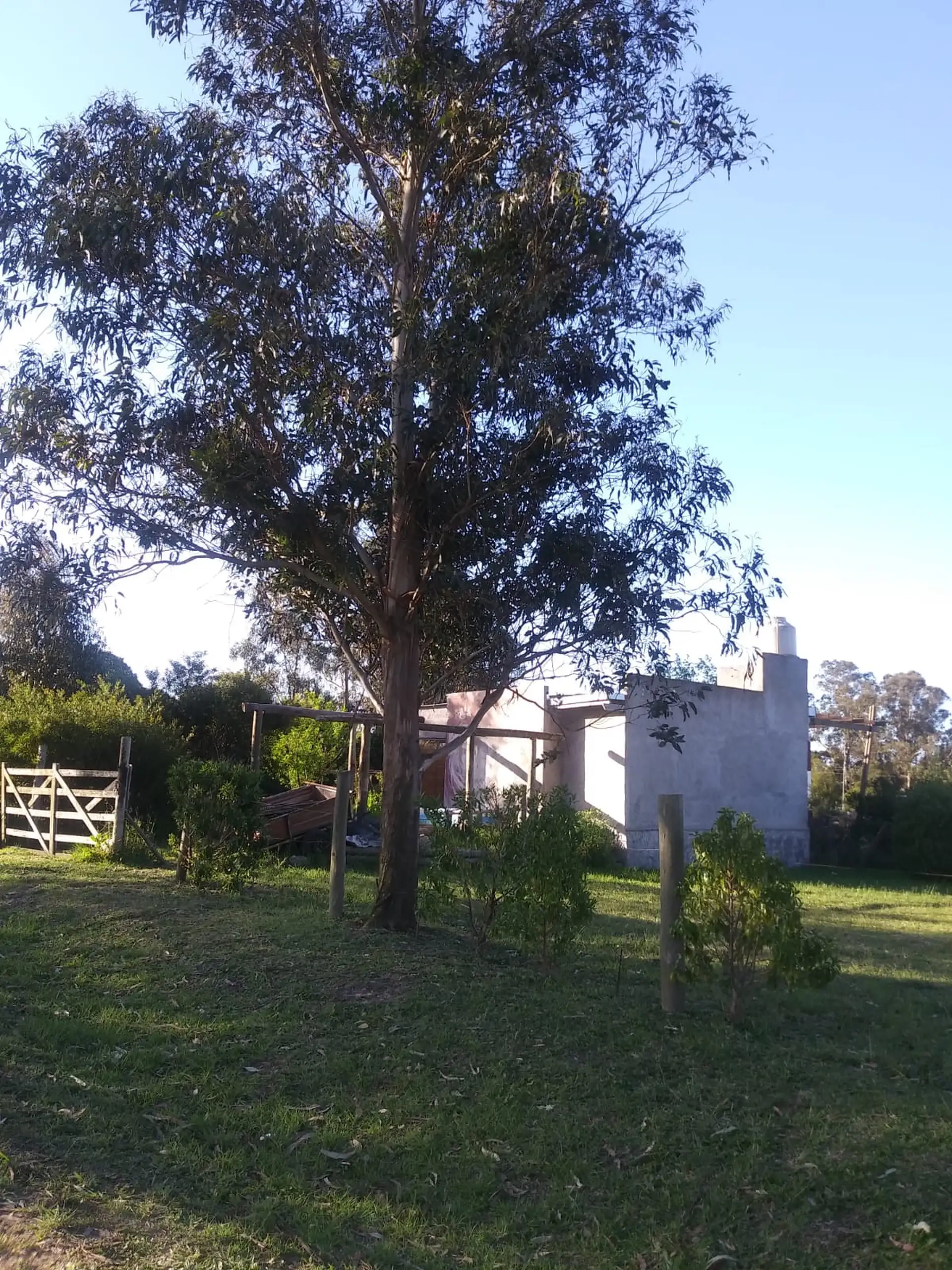 LOTE DE 400 METROS EN ESQUINA CALLE 483 Y 14