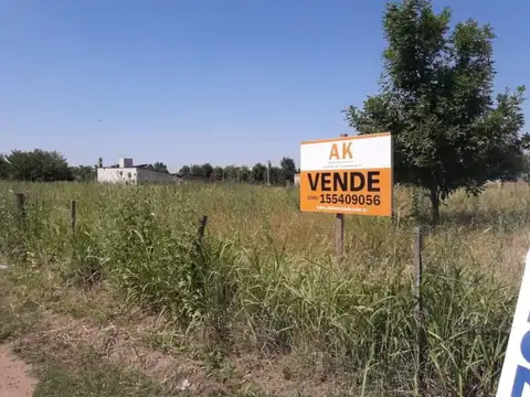 Los Olivos entre Calle 13