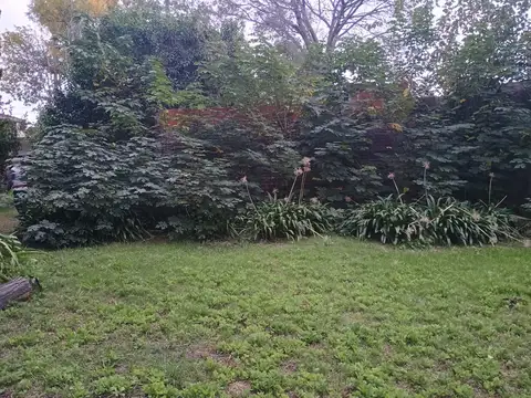 MUÑOZ Y PRIMERA JUNTA