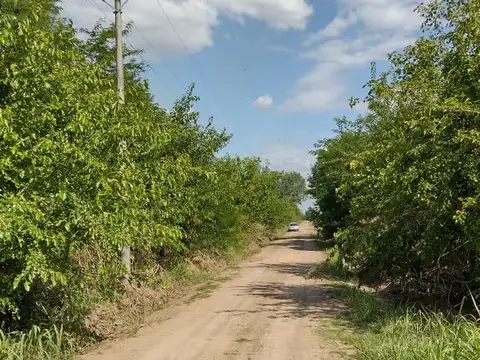 Parada Robles