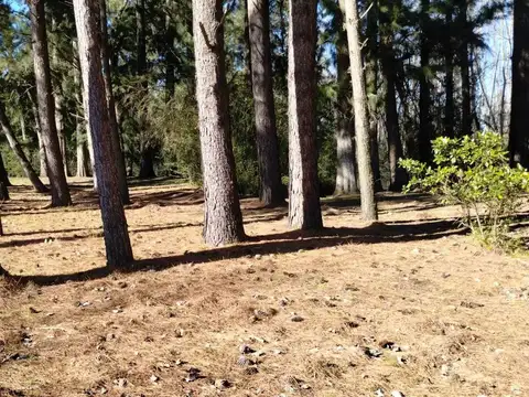 Terreno Lote  en Venta en Cruz Colorada, Zona Delta, Tigre