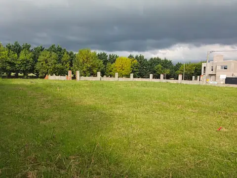Hipolito Vieytes y Manuel Belgrano