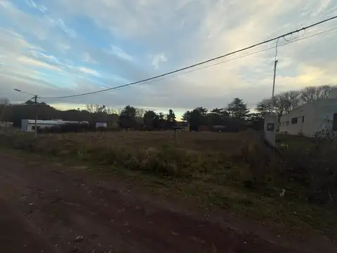 Lechuza