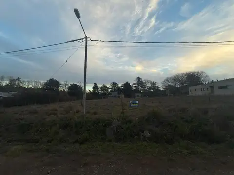Lechuza