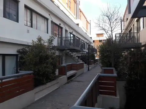 Carlos Pellegrini 100