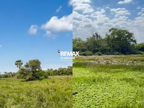 VENTA CAMPO GANADERO 589 HAS PROVINCIA DEL CHACO